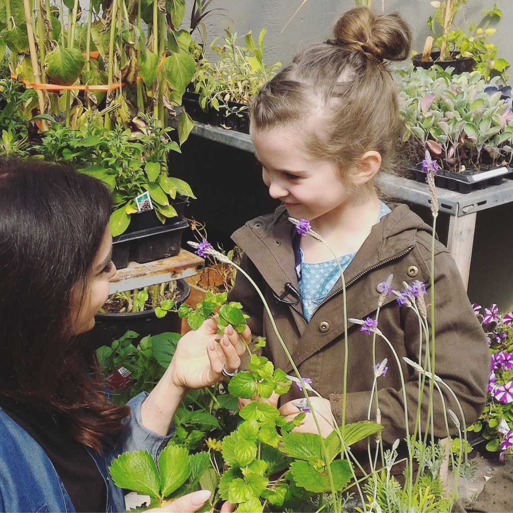 Exploring the Senses at Birchwood Meadows