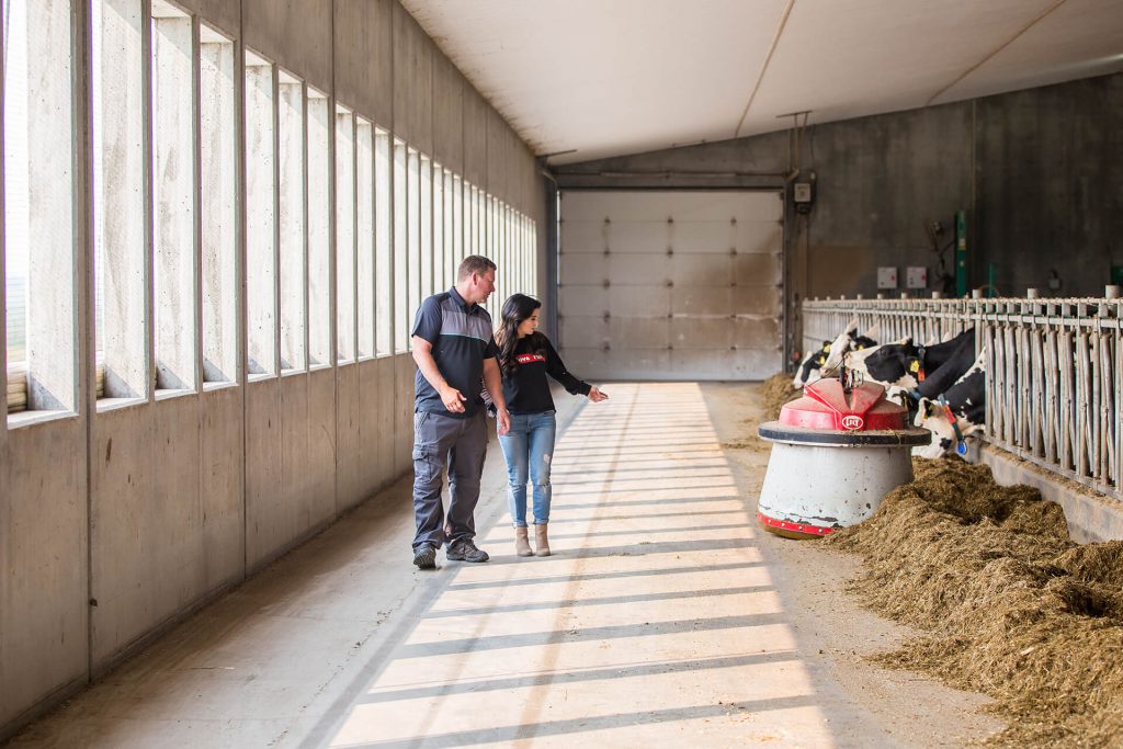 Jason & Emily with Cows