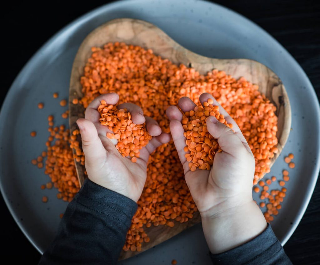 Chicken-Lentil Dippers